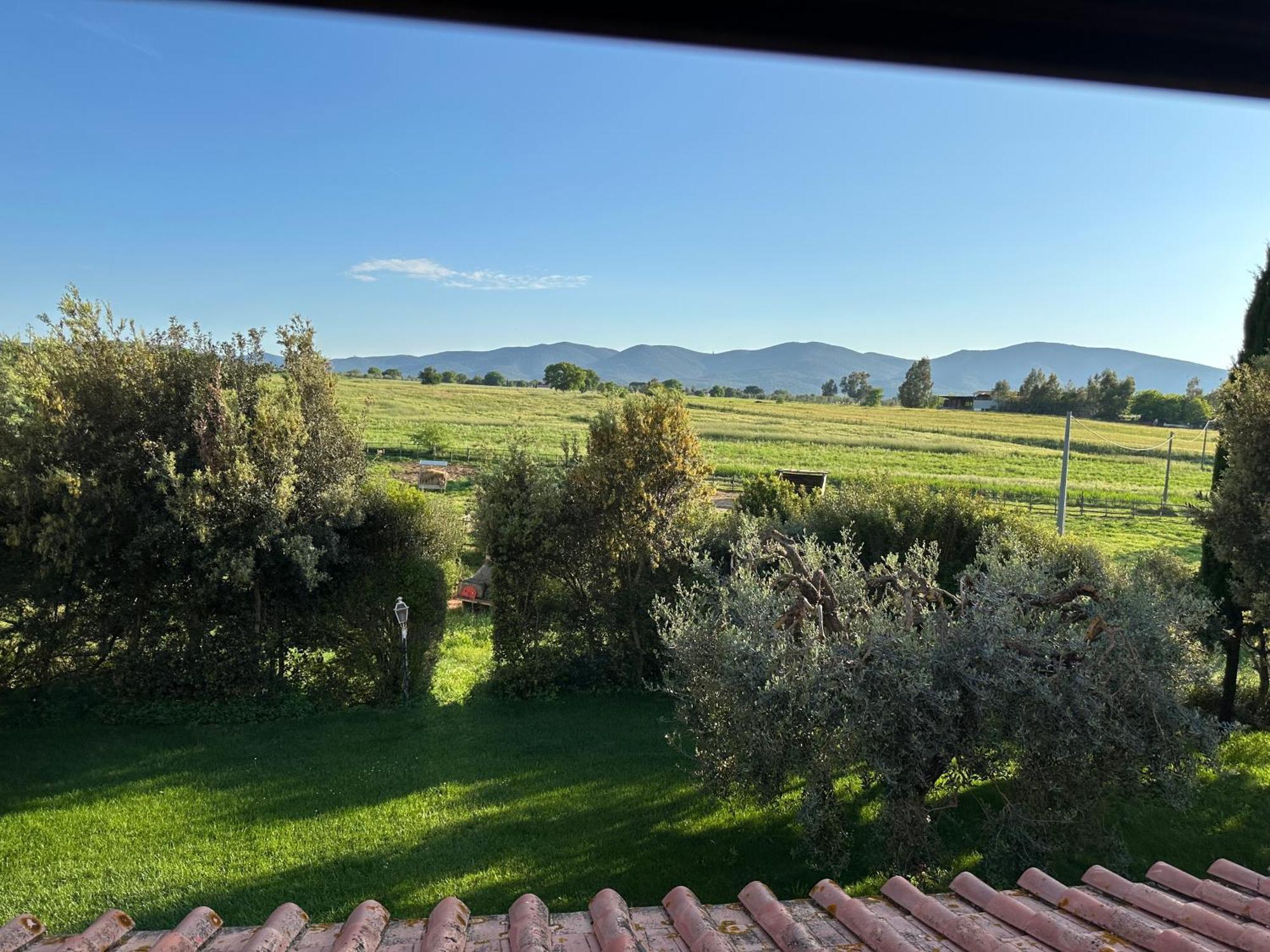 Bio Agriturismo Il Melograno Di Banditella Ristorante 알베레세 외부 사진
