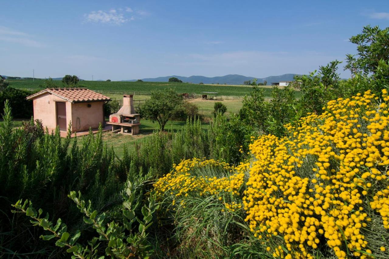 Bio Agriturismo Il Melograno Di Banditella Ristorante 알베레세 외부 사진