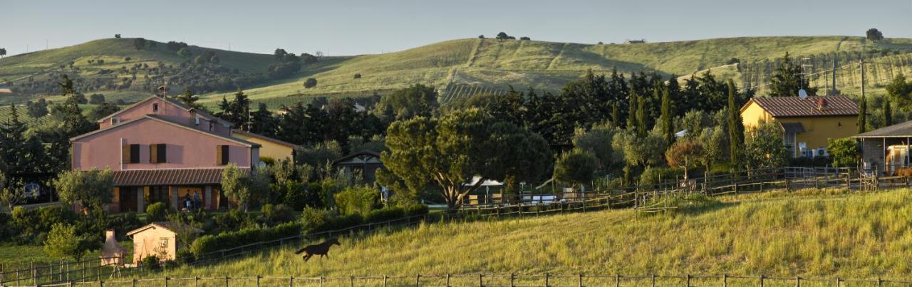 Bio Agriturismo Il Melograno Di Banditella Ristorante 알베레세 외부 사진