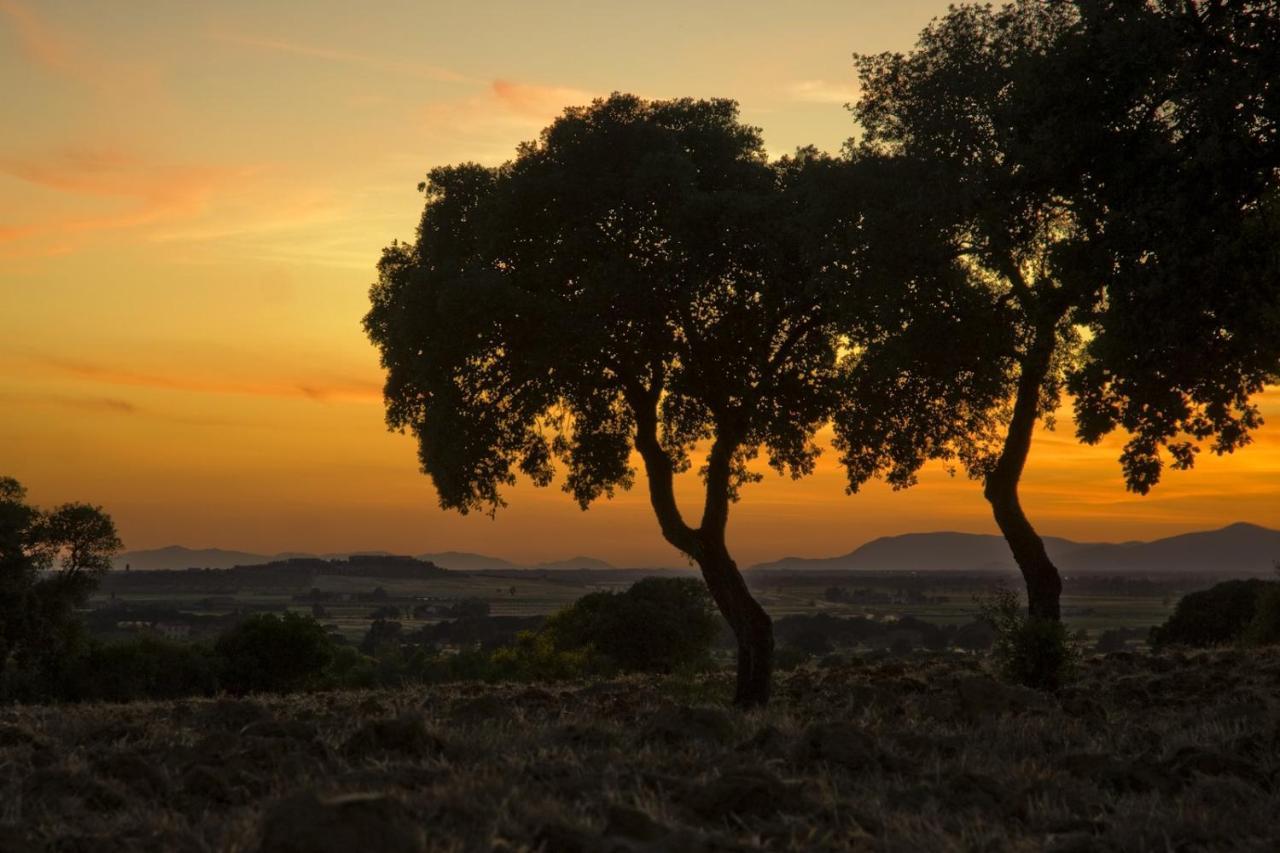 Bio Agriturismo Il Melograno Di Banditella Ristorante 알베레세 외부 사진